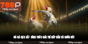Đá Gà Cựa Sắt – Hình Thức Giải Trí Hấp Dẫn Và Cuốn Hút