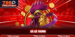 Tìm Hiểu Đá Gà Thomo – Những Trận Đấu Kịch Tính Dễ Thắng