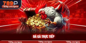 Đá Gà Trực Tiếp 789P – Trải Nghiệm Đỉnh Cao Từ Đấu Trường