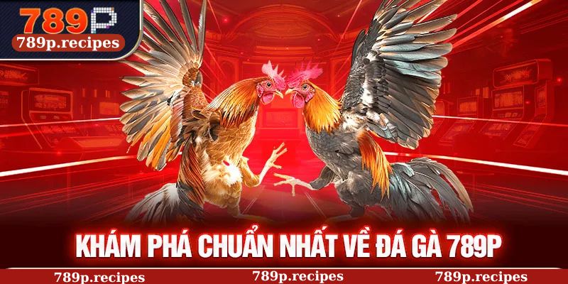 Khám phá chuẩn nhất về đá gà 789P